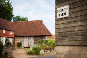 Surrey Country Wedding