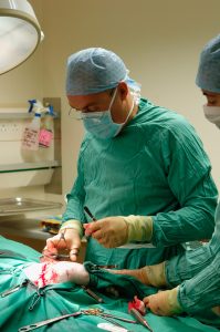 Veterinary surgeon performing an operation