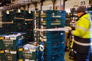 Trucks being loaded at Christmas in the Gist Warehouse