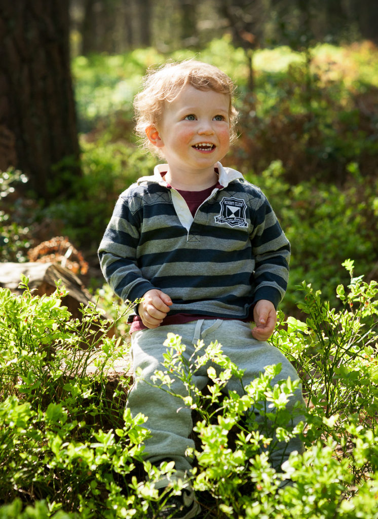 Toddler sitting on a tree stump in the woods laughing