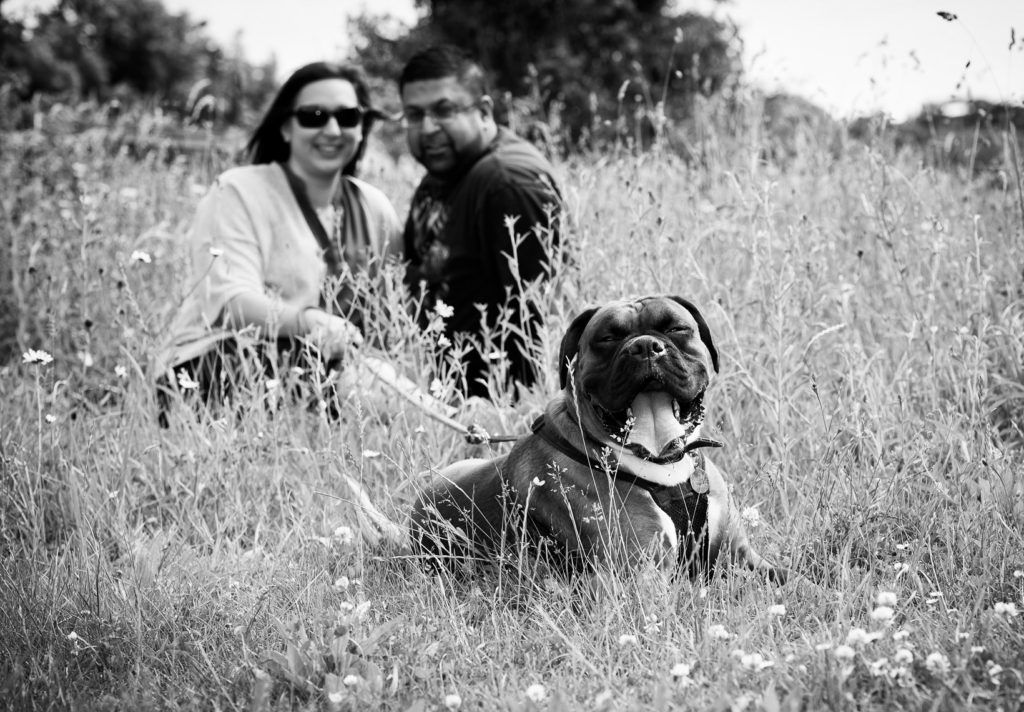 Couple sitting in a meadow with a boxer dog in the foreground